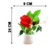 rose-plant webp