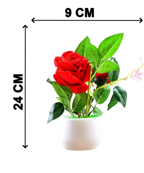 rose-plant webp