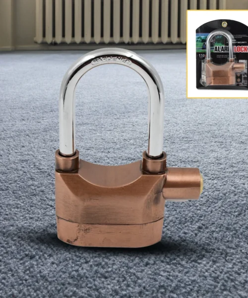security-alarm-2 webp