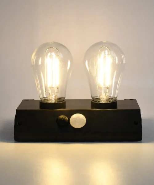 solar-bulb webp