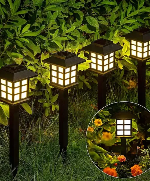 solar-lights-2 webp