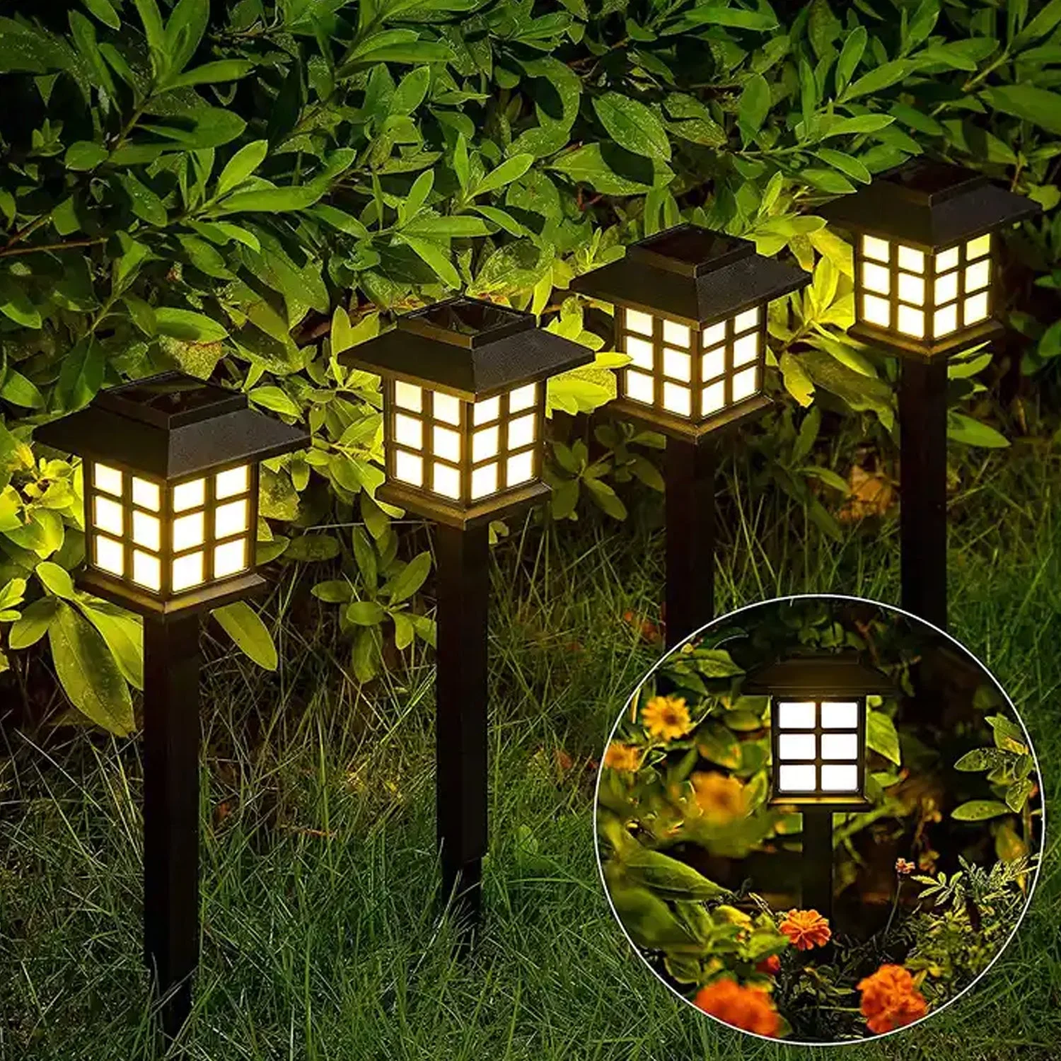 solar-lights-2 webp