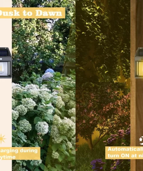 solar-outdoor-light webp