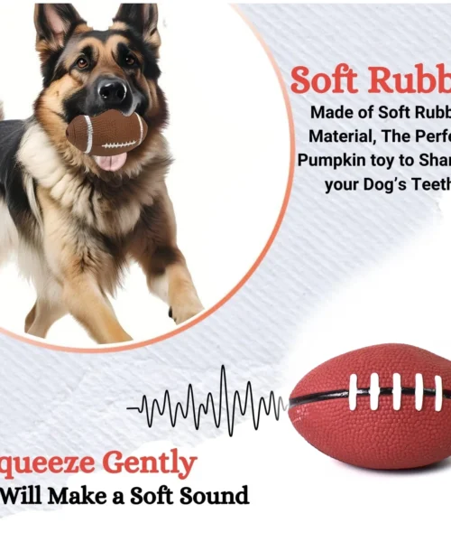sports-ball-1 webp