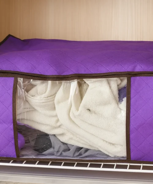 storage-bag-for-clothes webp