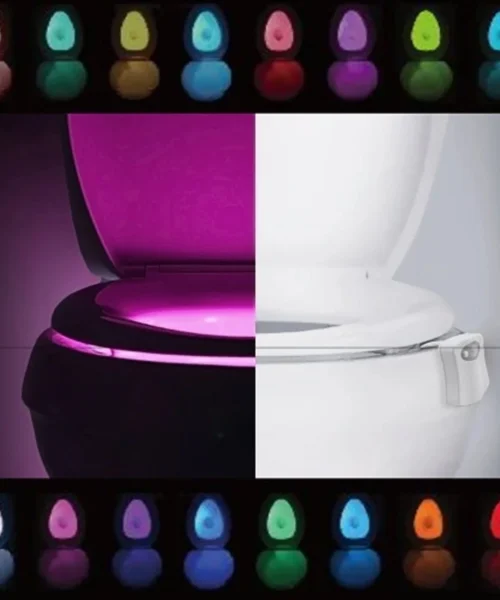 toilet-light-1 webp