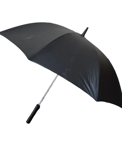 umbrella-4 webp
