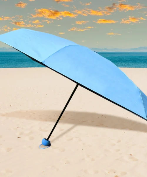 umbrella-with-case webp