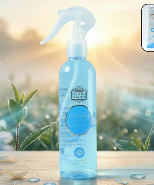 air-freshener-11 webp