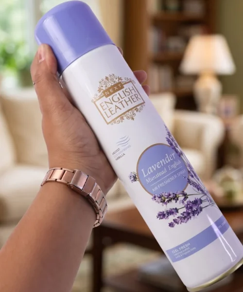 best-air-freshener-for-home-2 webp