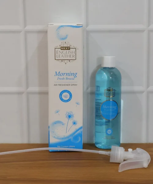 best-air-freshener-for-room-3 webp