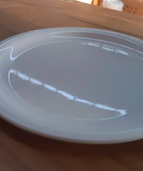 best-dinner-plates-in-india webp