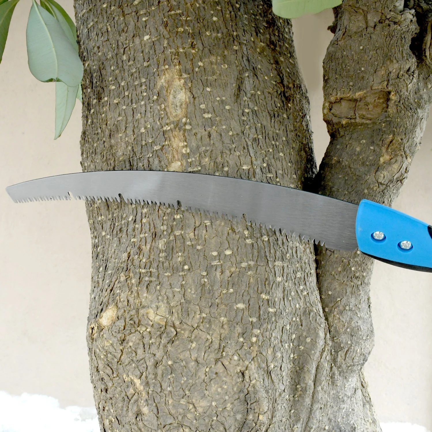 best-pruning-saw-for-plants webp