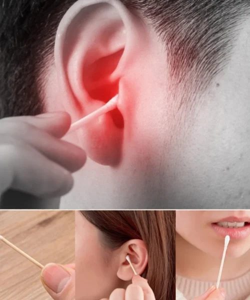 biodegradable-bamboo-cotton-swabs-india webp