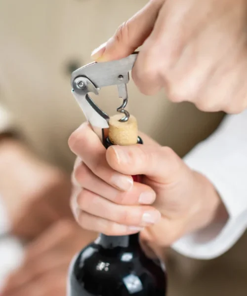 bottle-opener webp