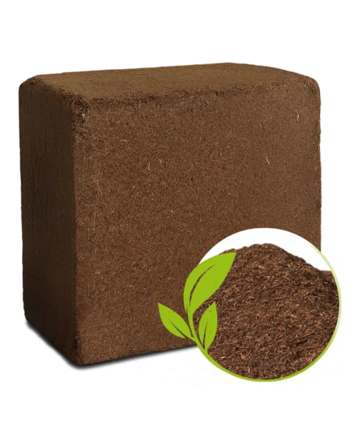 cocopeat webp