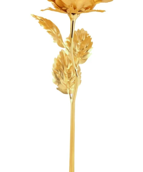 decorative-flower webp