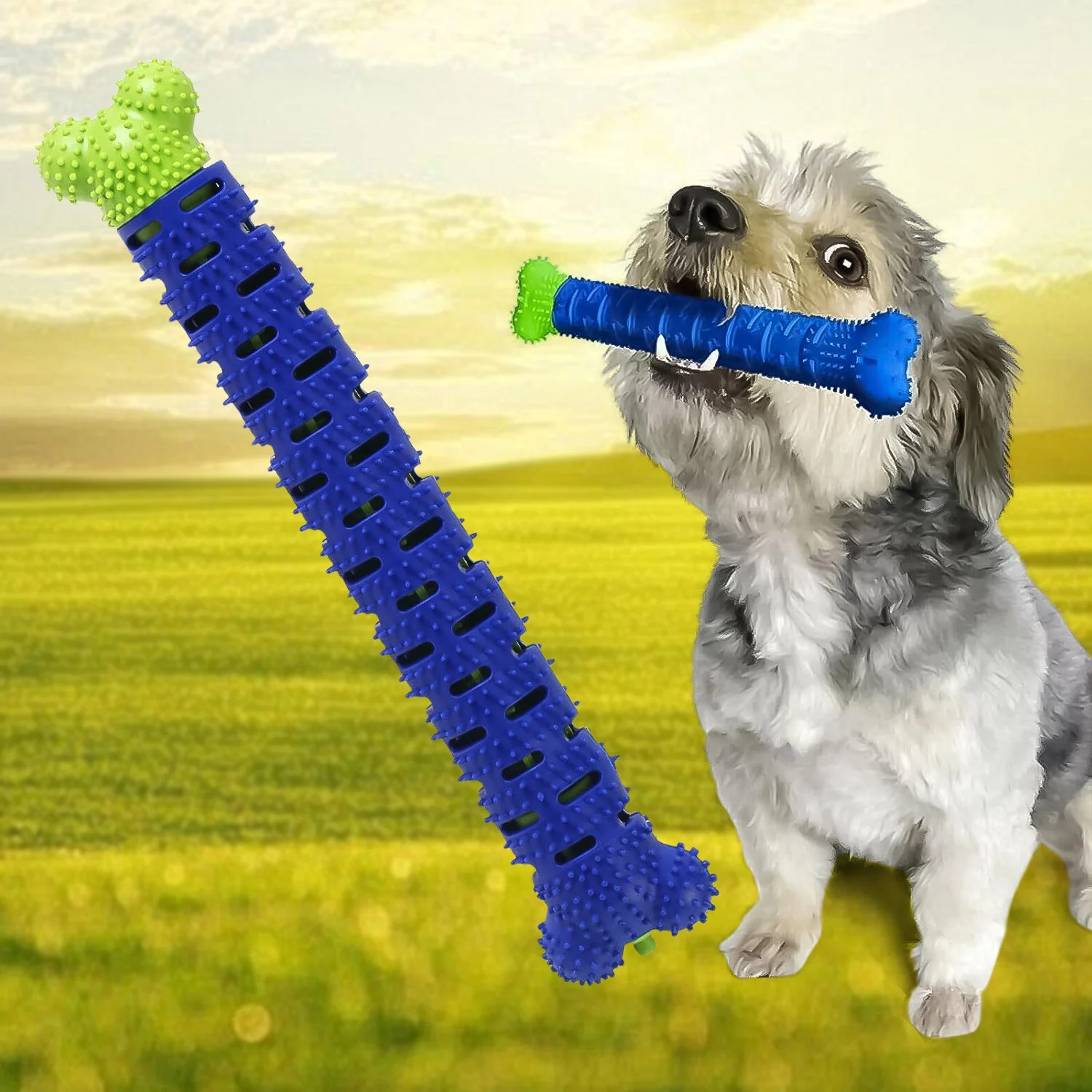 dog-chew-stick webp