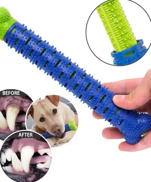 dog-toothbrush webp