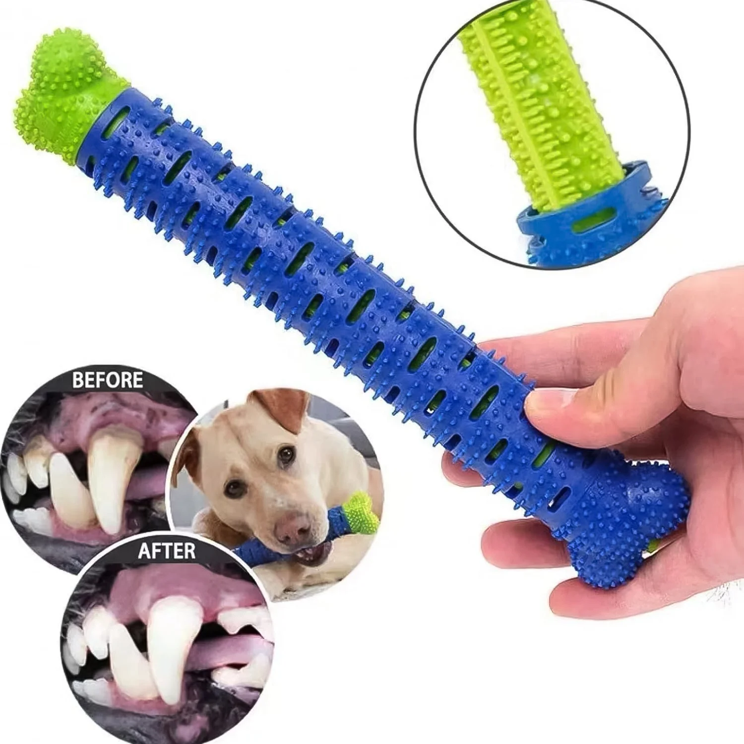 dog-toothbrush webp