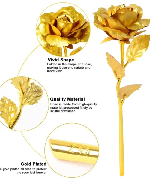 flower webp