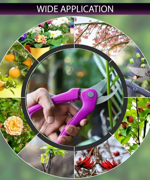 gardening-tool-kit-for-home-use webp