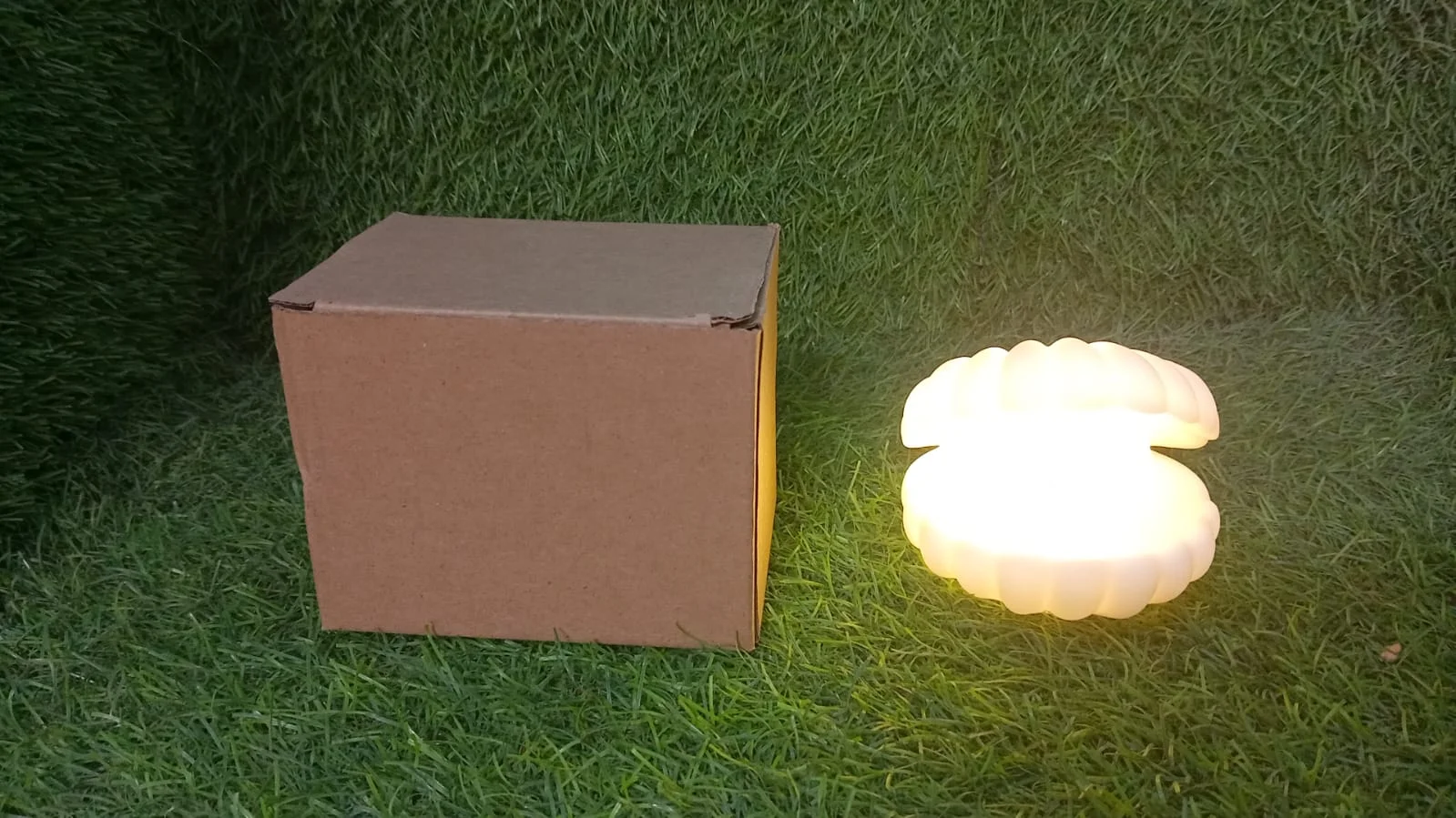 home-night-light webp