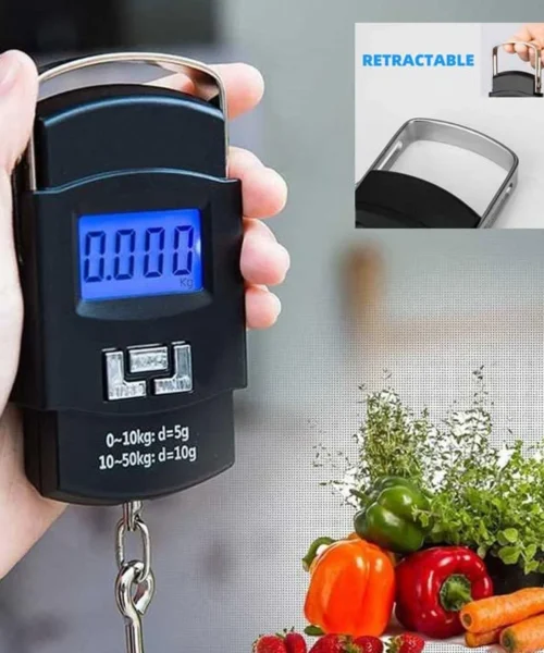hook-type-weighing-scale-for-industrial-use webp