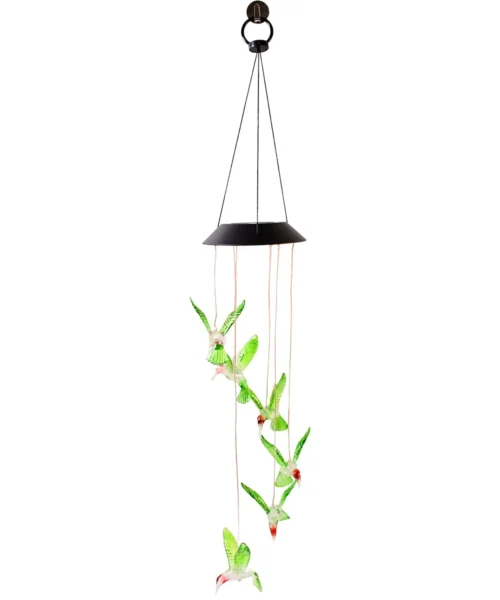 hummingbird-decor webp