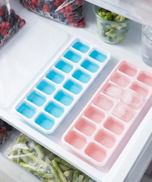 ice-mold-2 webp