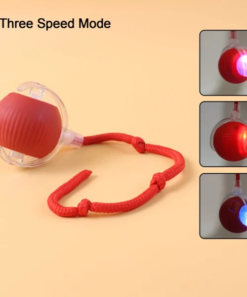interactive-toy webp
