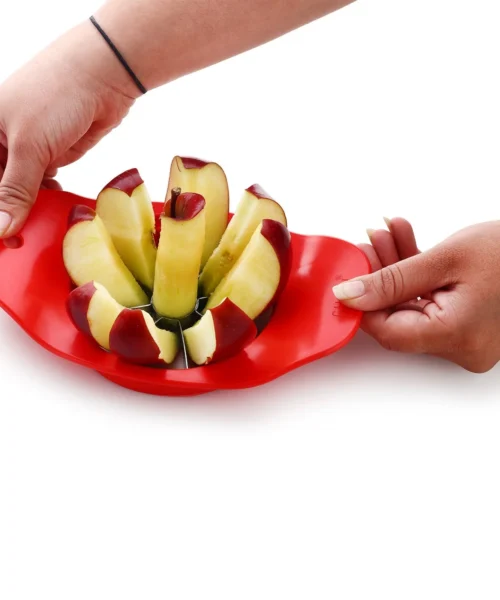 kitchen-cutter-1 webp
