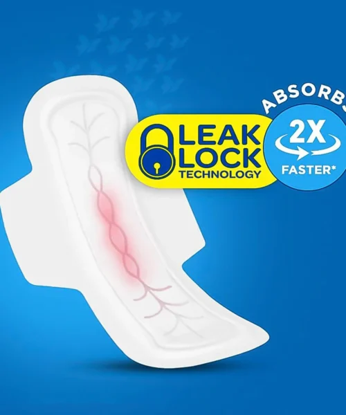 lady-pads webp