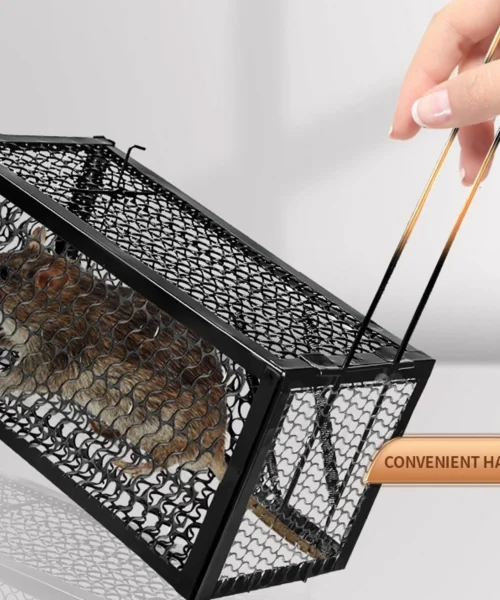 live-mouse-trap-1-2-3 webp