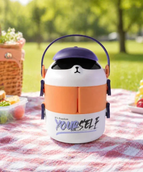 lunch-box-with-compartments-india webp