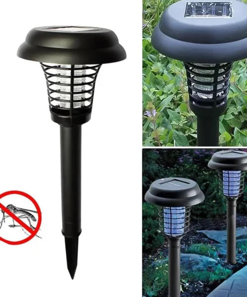 mosquito-trap webp
