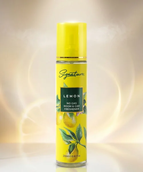 natural-room-freshener-for-living-room webp