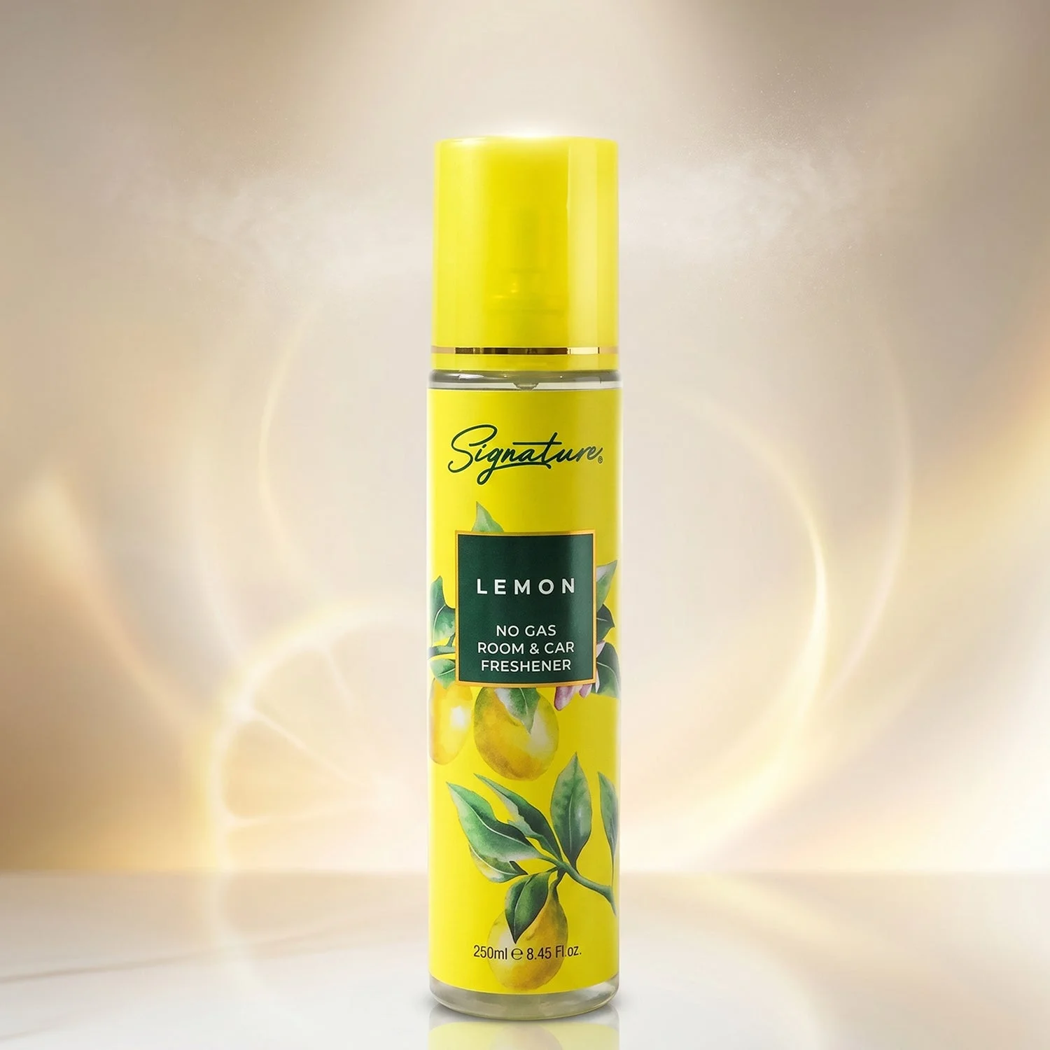 natural-room-freshener-for-living-room webp