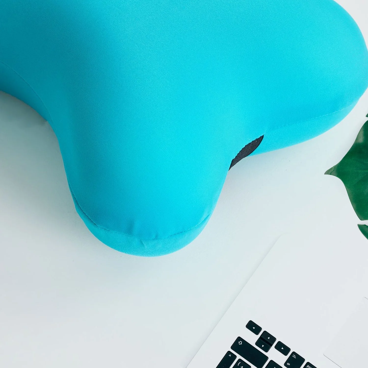 neck-pillow webp