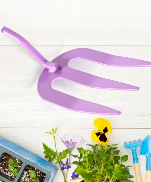 patio-maintenance-tools-1 webp