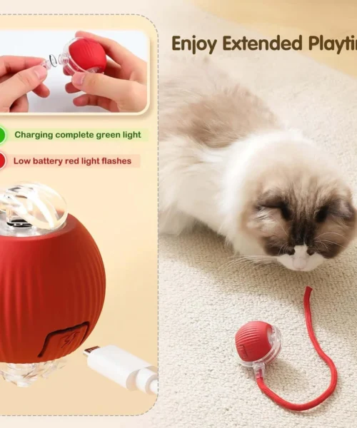 pet-toy webp
