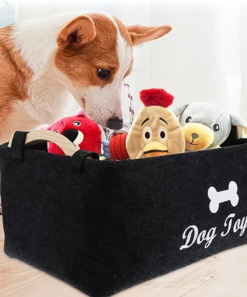 pet-toy-storage-basket-for-dogs webp