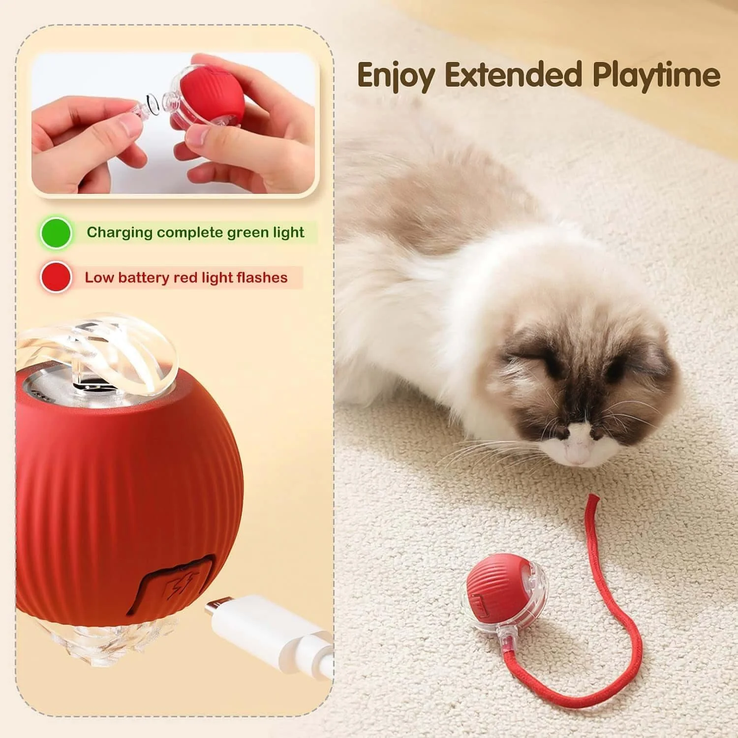 pet-toy webp