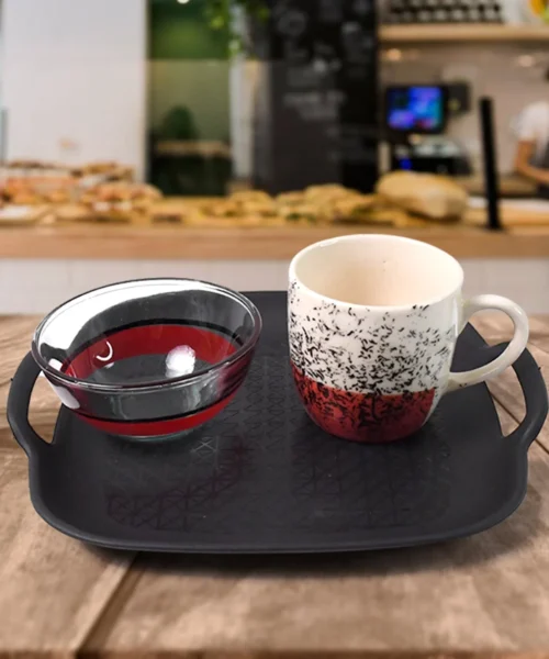 plastic-plate-for-dining webp