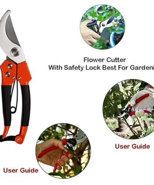 pruning-tools webp