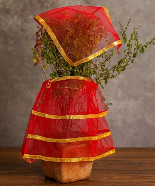 puja-vastra webp