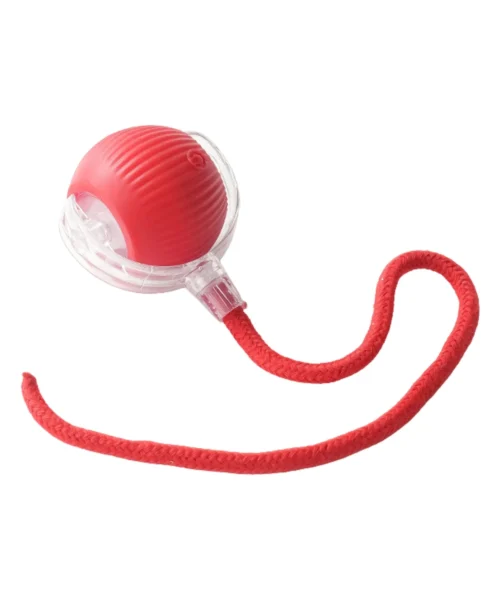rechargeable-toy webp
