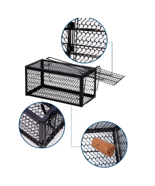 rodent-trap webp