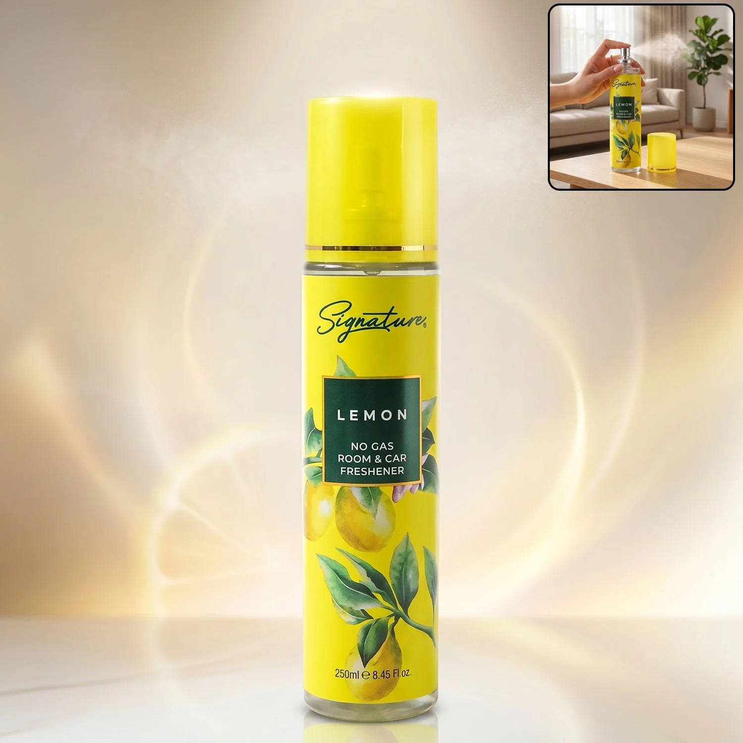 room-freshener-14 webp