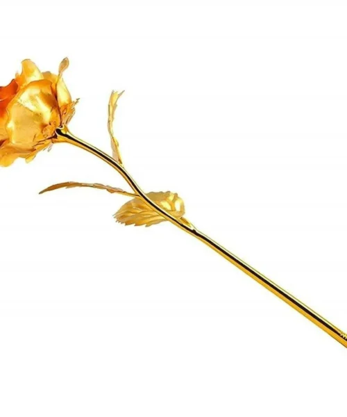 rose-flowers-for-office-decor webp
